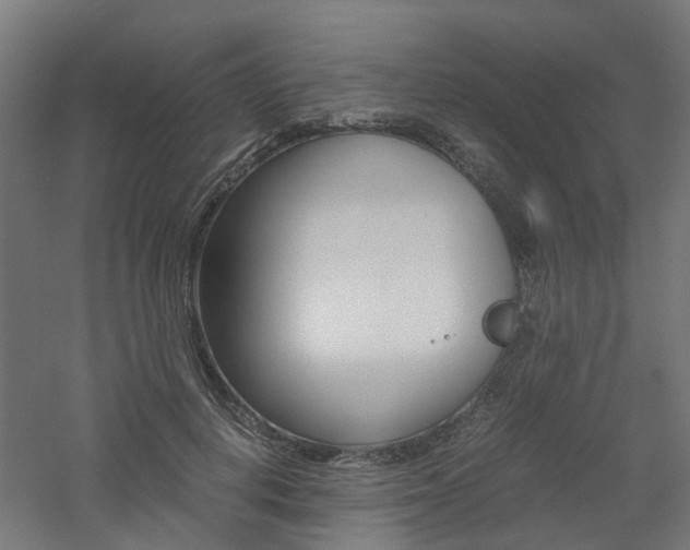 X0000060780648200511101009
