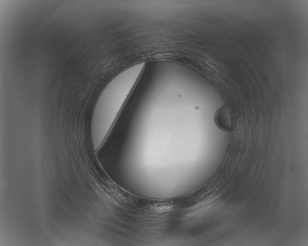 X0000060780651200511101009
