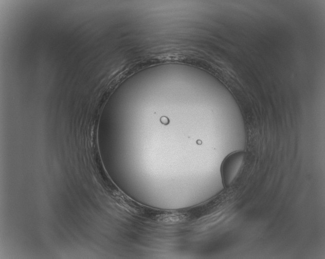 X0000060780652200511101009