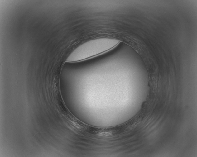 X0000060780653200511101009