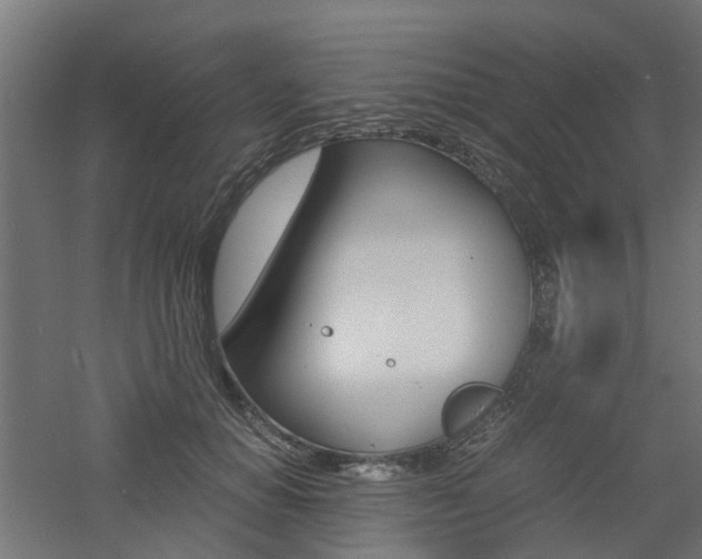 X0000060780654200511101009