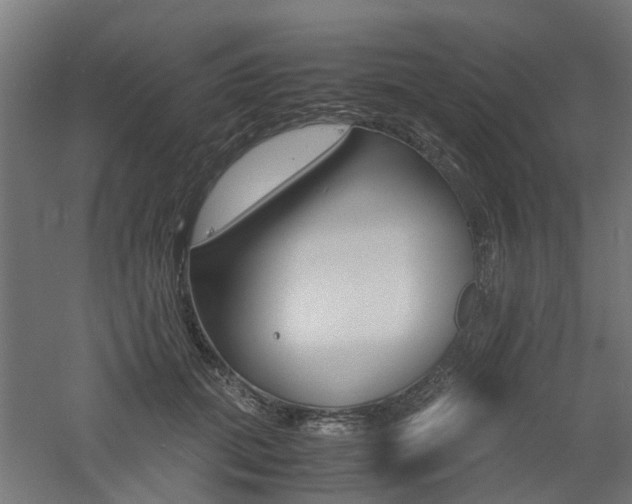X0000060780655200511101009