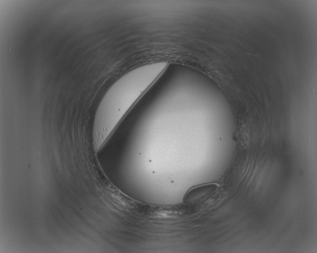 X0000060780657200511101009