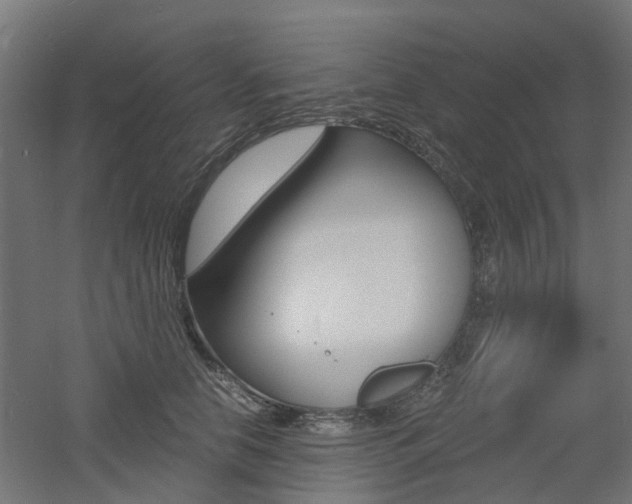 X0000060780658200511101009