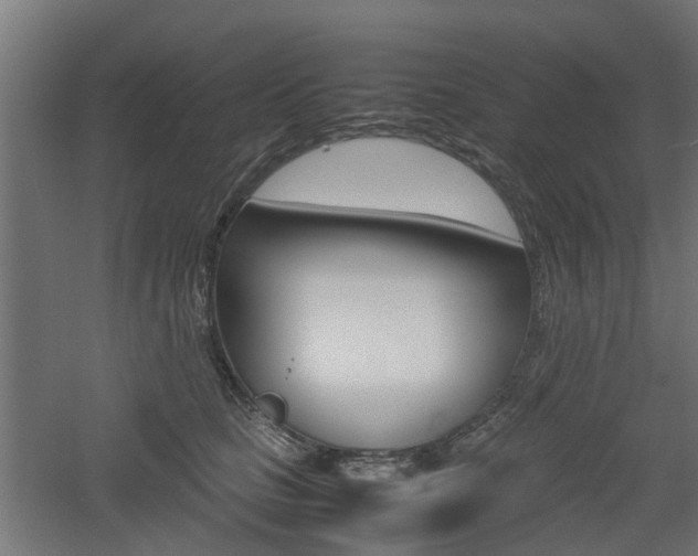 X0000060780661200511101009