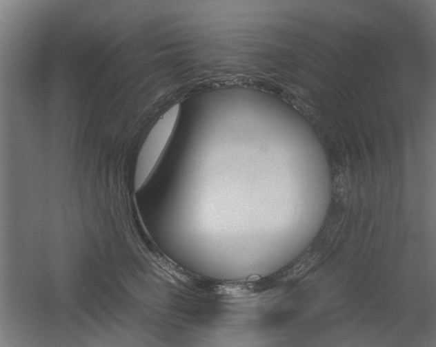 X0000060780662200511101009