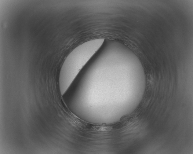 X0000060780663200511101009