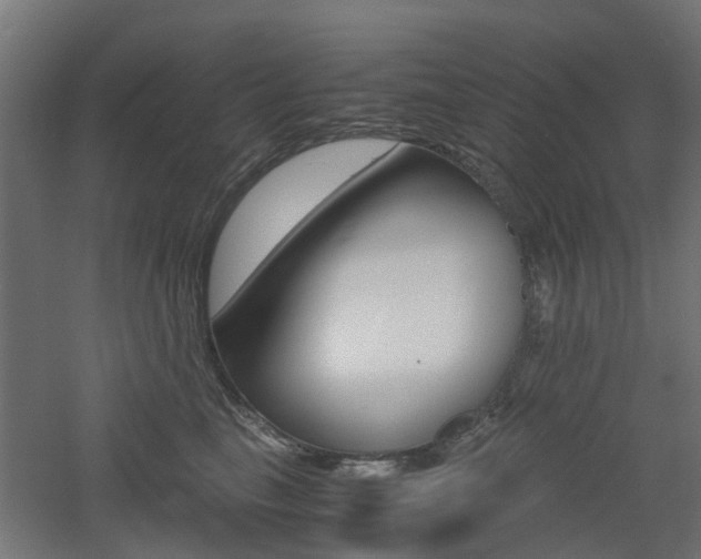 X0000060780665200511101010