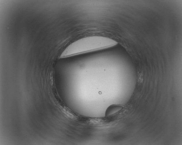 X0000060780666200511101010