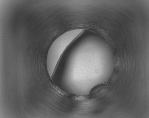 X0000060780669200511101010