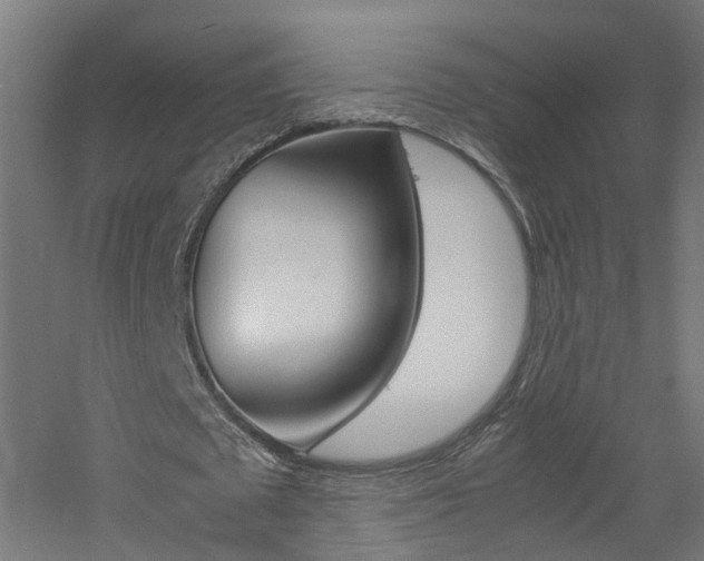 X0000060780673200511101009