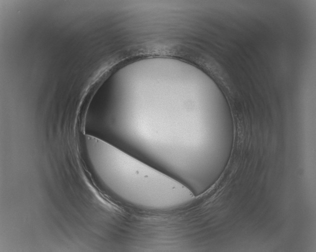 X0000060780674200511101009