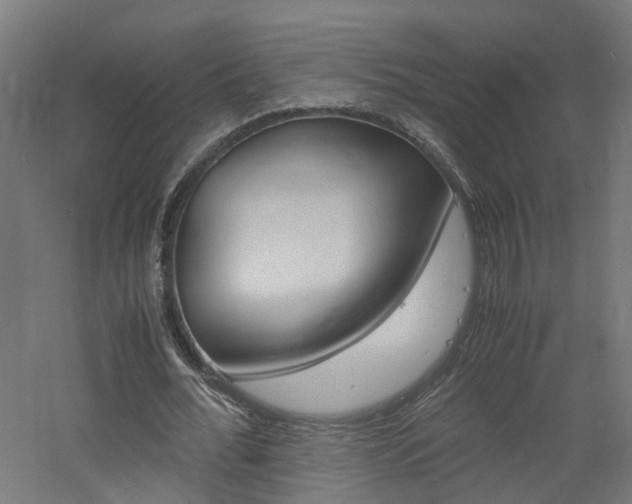 X0000060780676200511101009