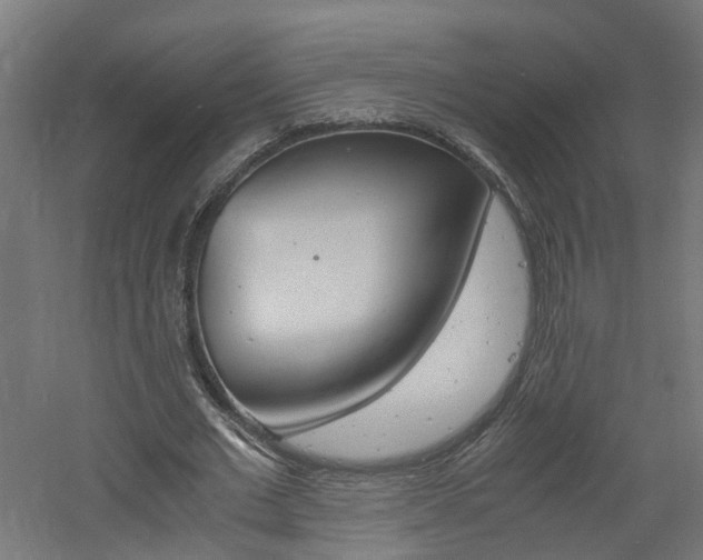 X0000060780677200511101009