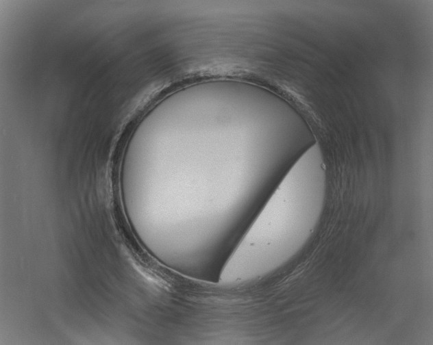 X0000060780678200511101009