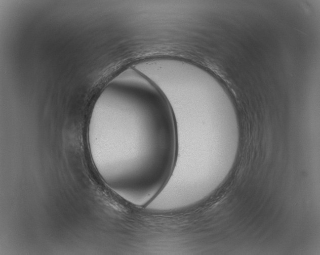 X0000060780681200511101009