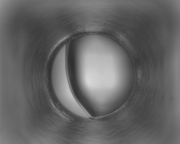 X0000060780684200511101009