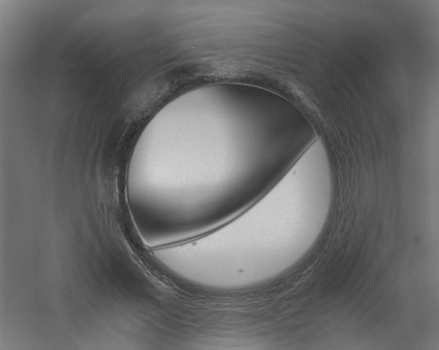 X0000060780685200511101009