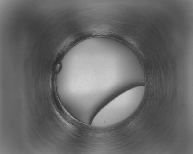 X0000060780686200511101009