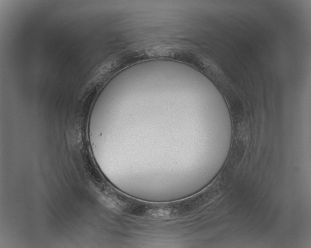 X0000060780687200511101009