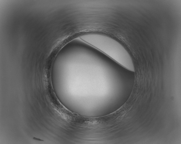 X0000060780688200511101009