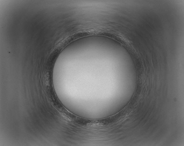 X0000060780689200511101009