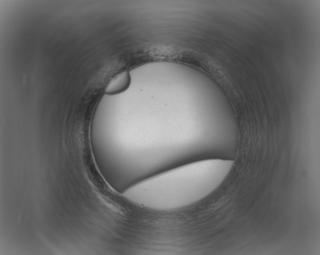 X0000060780690200511101009