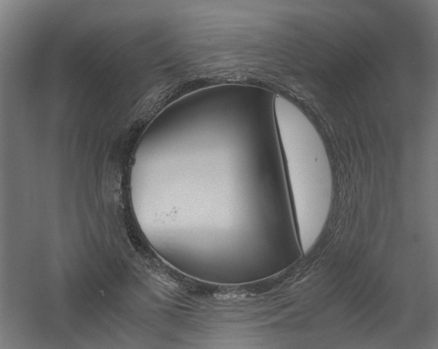 X0000060780693200511101008