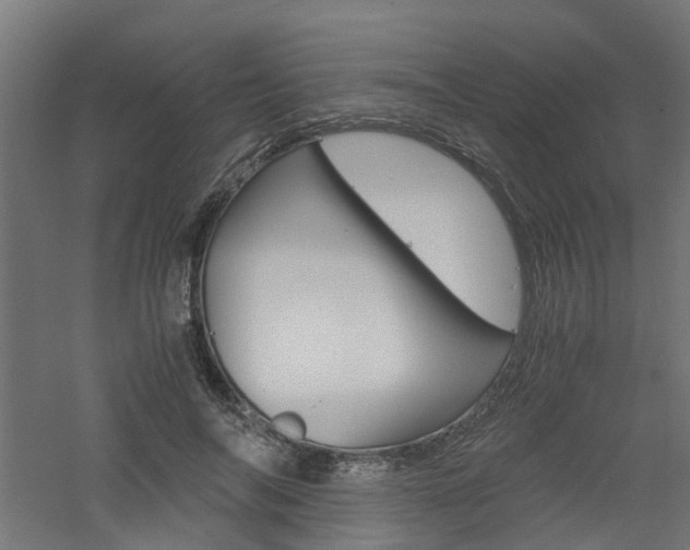 X0000060780694200511101008