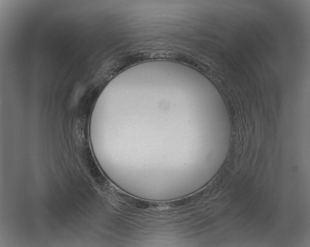X0000060780695200511101008