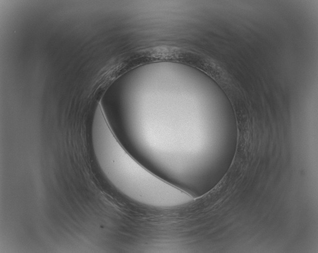 X0000060780696200511101008
