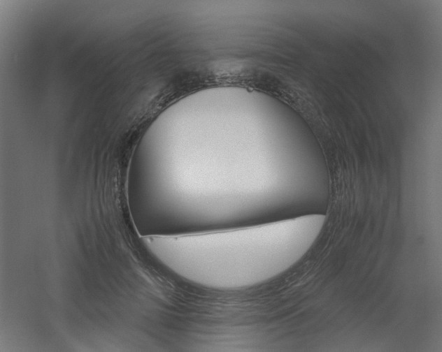 X0000060780698200511101008