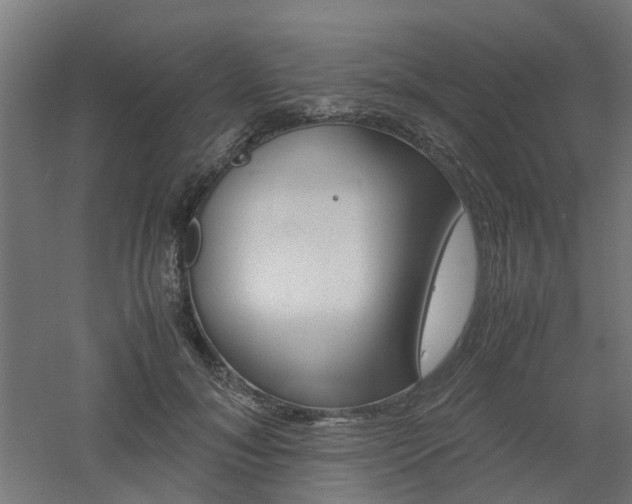 X0000060780700200511101008