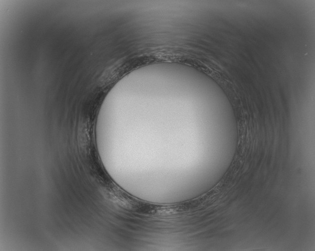 X0000060780702200511101008