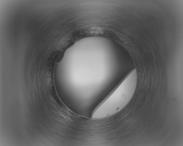 X0000060780704200511101008