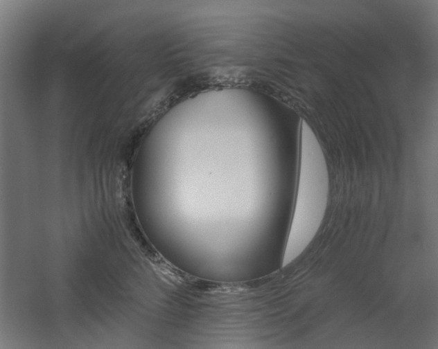 X0000060780712200511101008