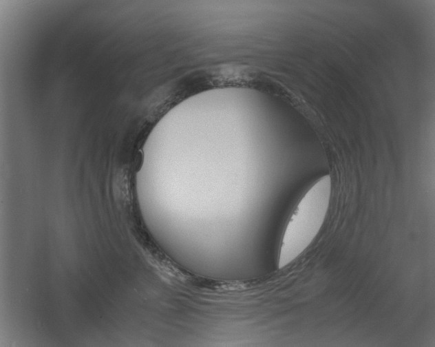 X0000060780715200511101008