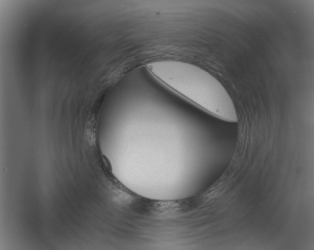 X0000060780719200511101008