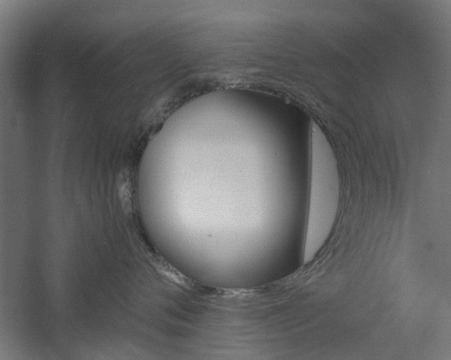 X0000060780720200511101008