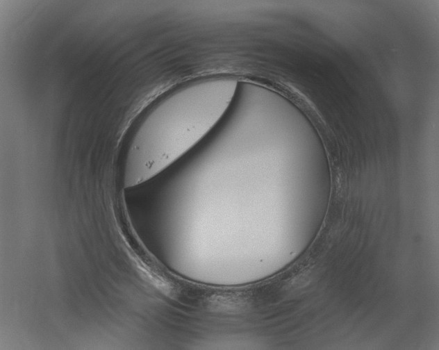 X0000060780725200511101007