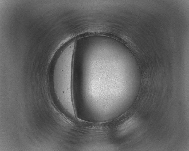 X0000060780727200511101007