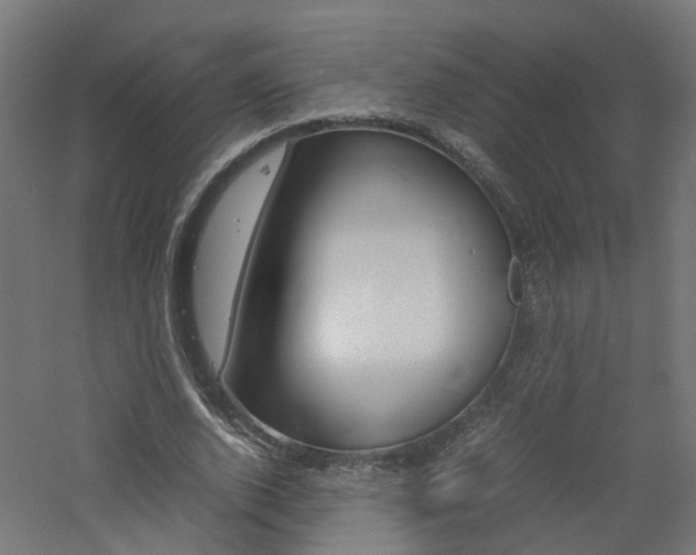 X0000060780728200511101007