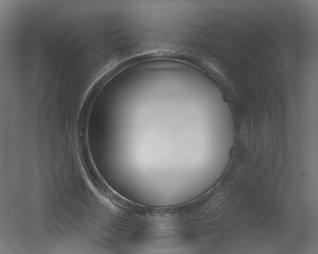 X0000060780730200511101007