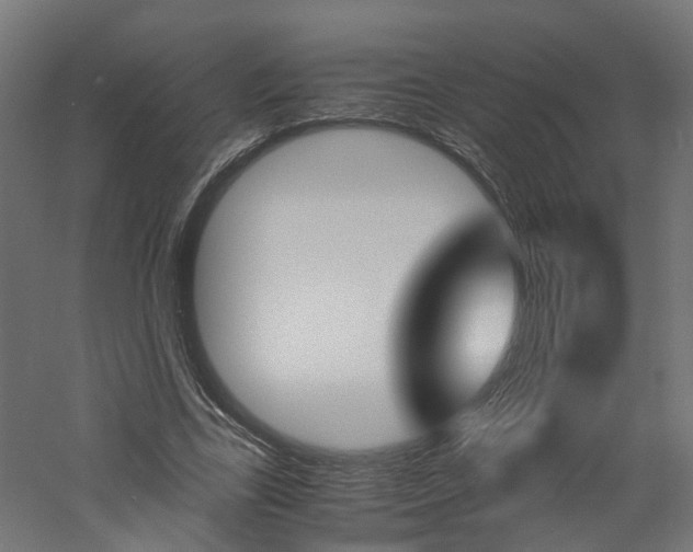 X0000060780731200511101007