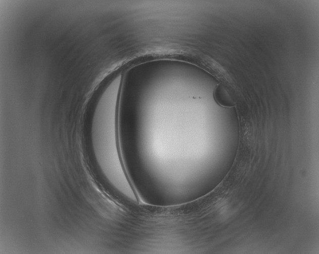 X0000060780732200511101007