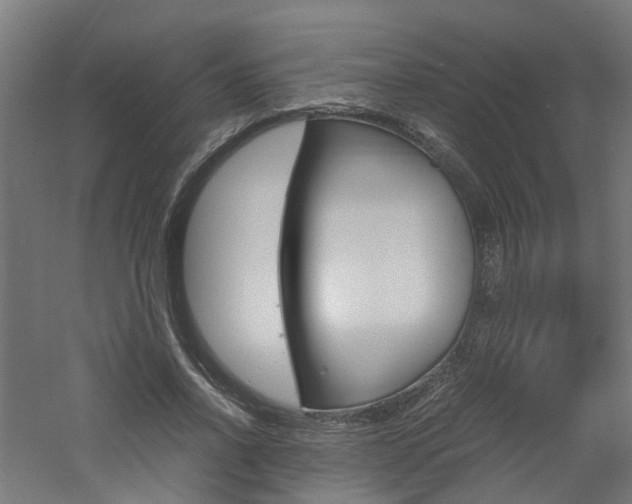 X0000060780734200511101007