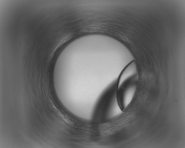 X0000060780735200511101007