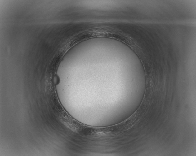 X0000060780737200511101007