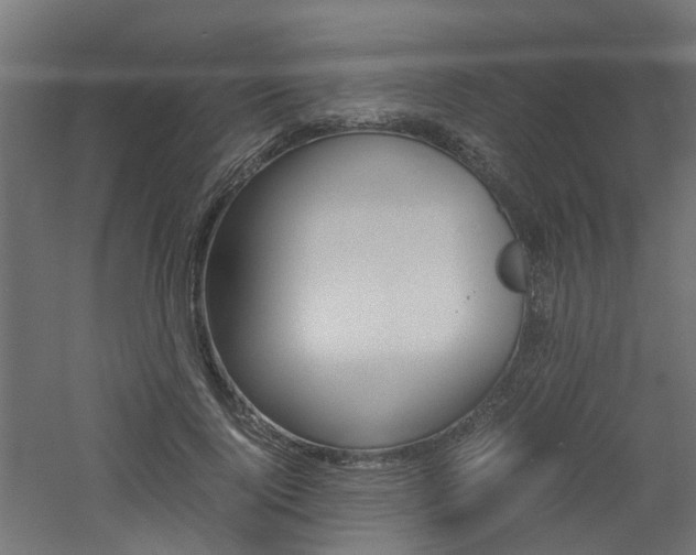 X0000060780740200511101008