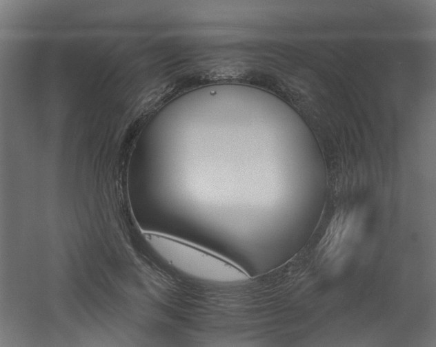 X0000060780743200511101008